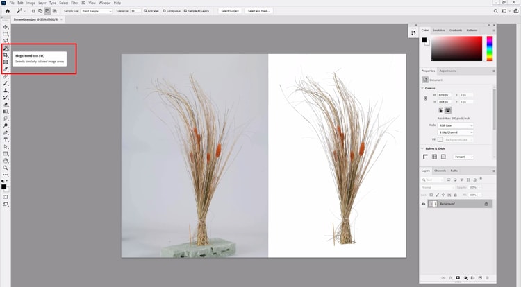 how to use magic wand tool to get rid of background