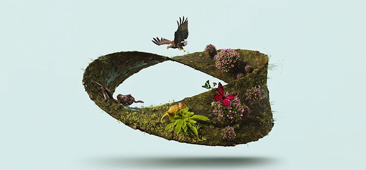 Image Manipulation