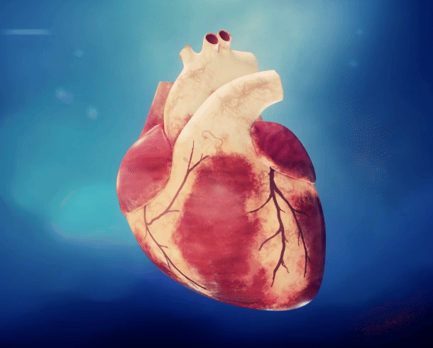 Medical-Animation Medical-Animation