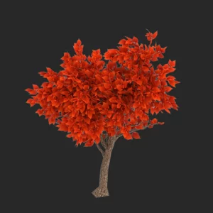 Red Tree