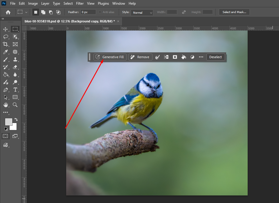 Generative Fill.webp