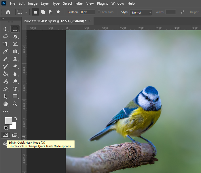 Click on Quick Mask Mode.webp