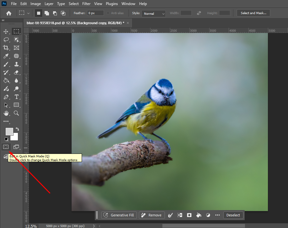 Quick Mask tool.webp