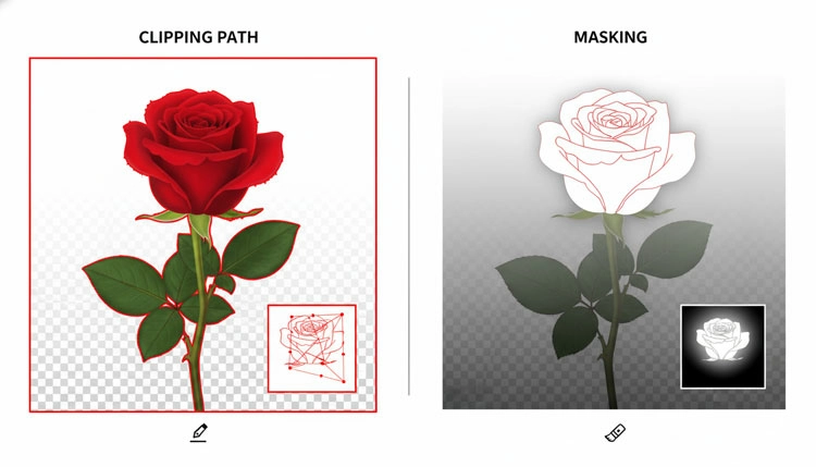 Technical-Breakdown-of-Clipping-Path-vs.webp