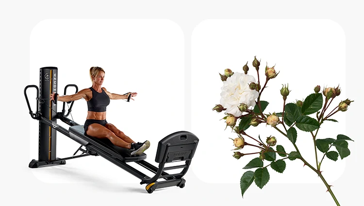 complex clipping path.webp