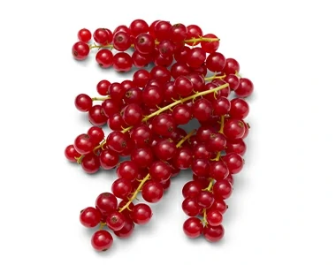 Fruit-photography-after