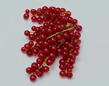 Fruit-photography-before