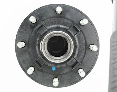 disk-plate-before